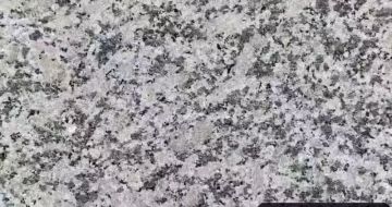 长春 芙蓉白（芝麻白大花）火烧面