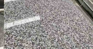 长春 芙蓉白光面
