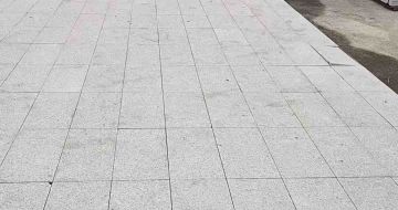 长春芝麻白地铺案例