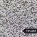 长春 芙蓉白（芝麻白大花）火烧面