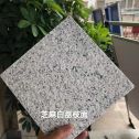 长春 芝麻白荔枝面干挂