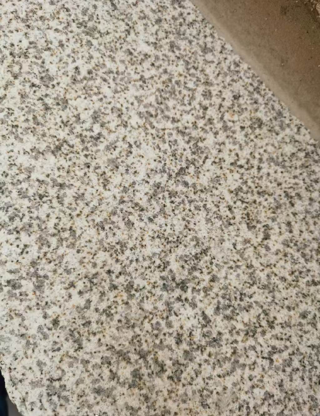 长春 黄金麻中黄光面