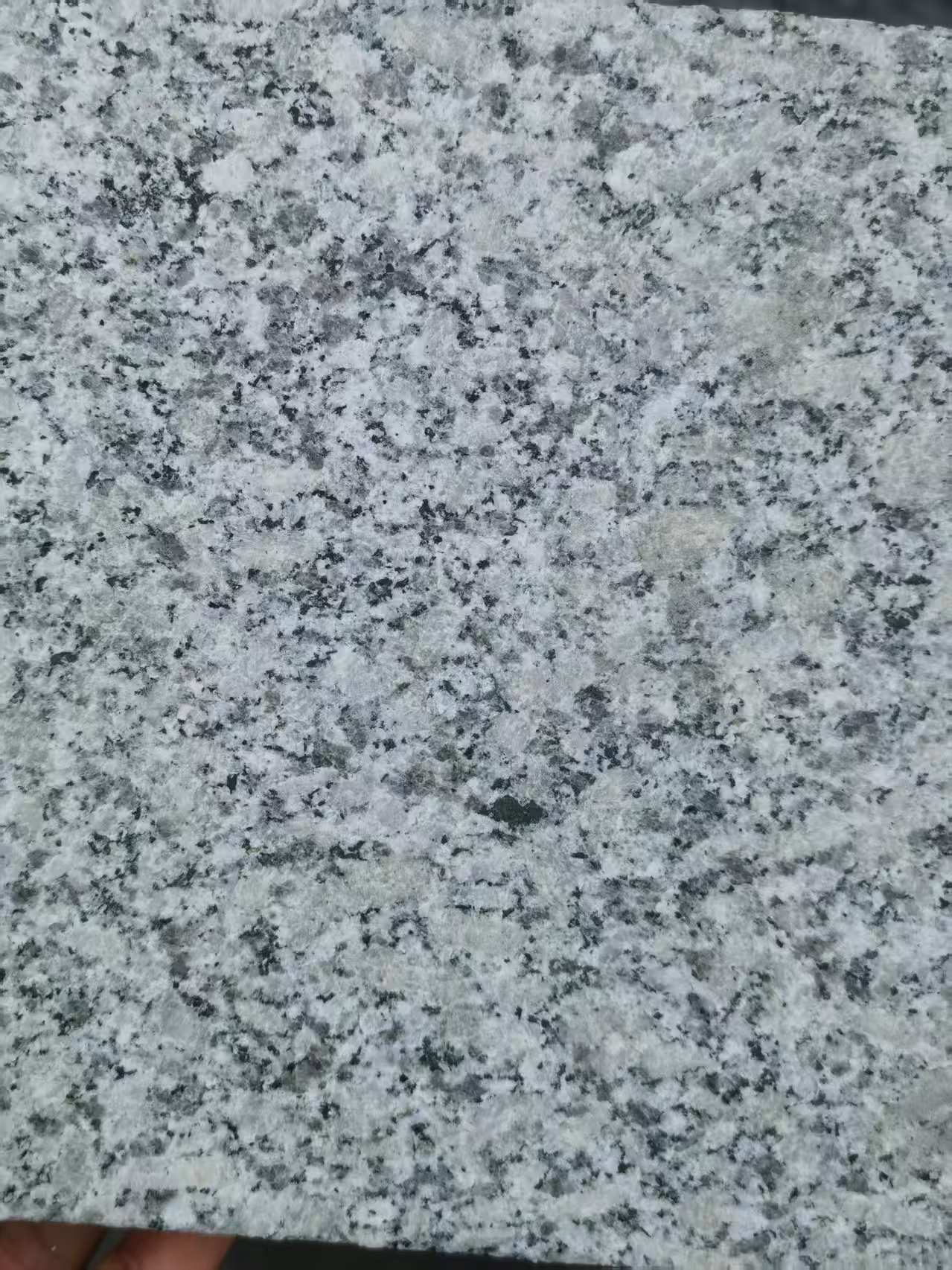 长春 芙蓉白火烧面