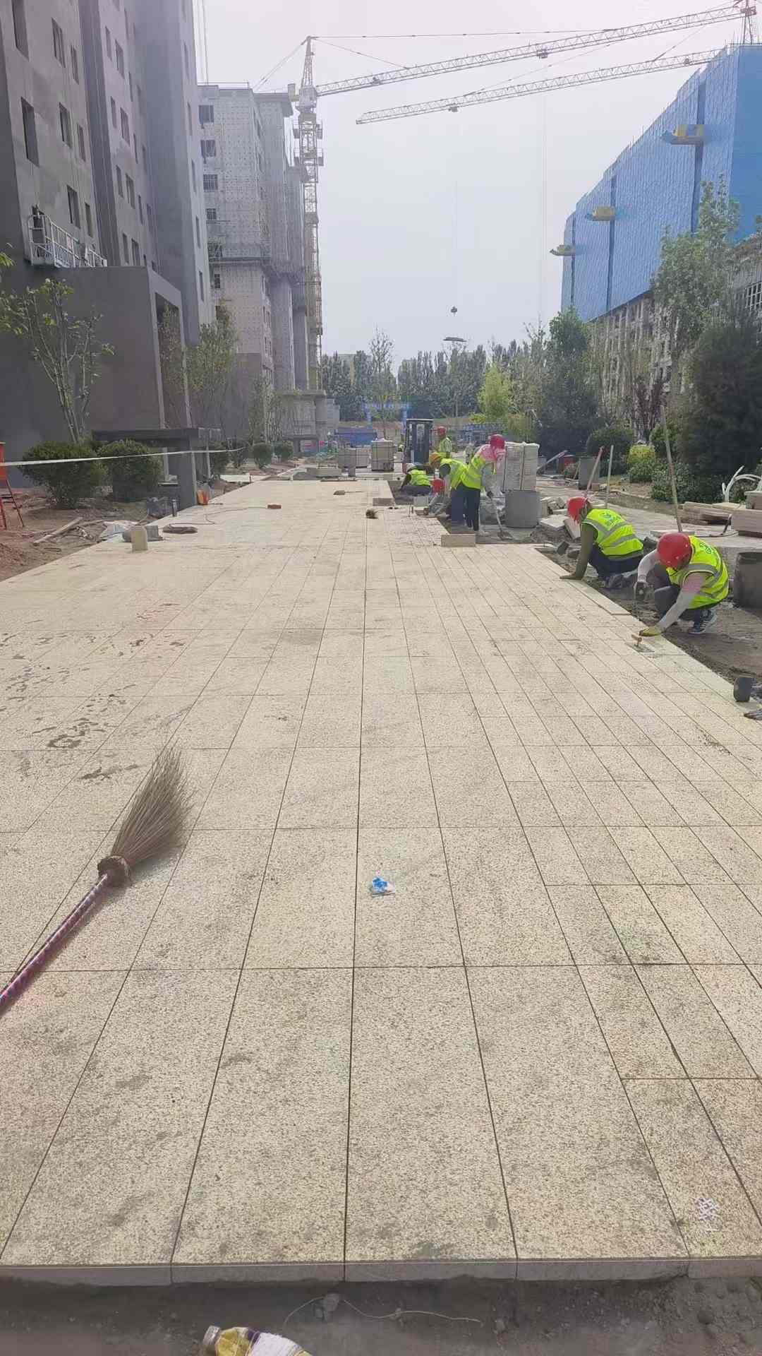 长春黄金麻荔枝面地铺案例