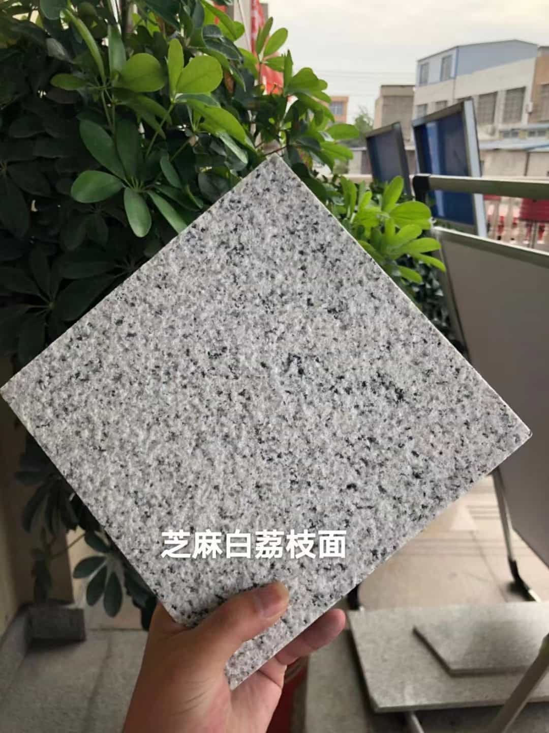 长春 芝麻白荔枝面干挂